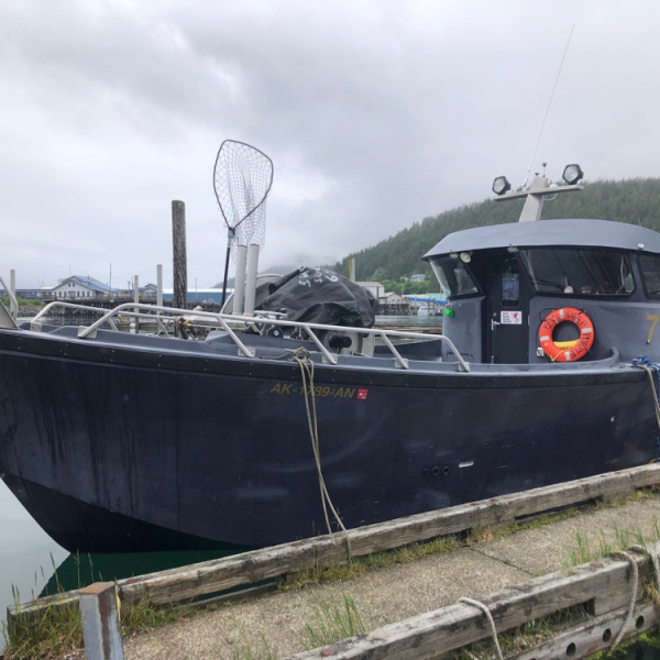 32' GillNet Bow Picker