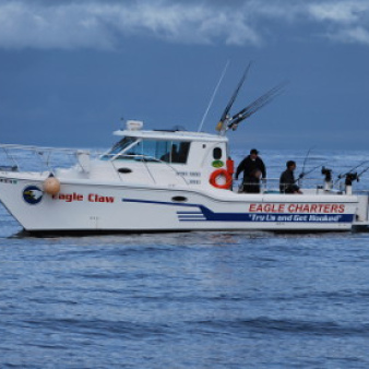34' King Cat Baha